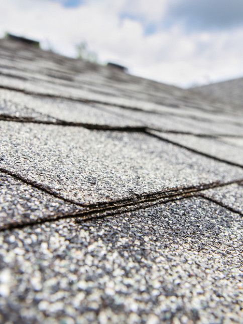 Shingle Roofing | Rhino Roofing and Construction